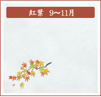 紅葉　9月～11月