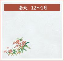 南天　12月～1月