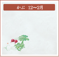 かぶ　12月～2月