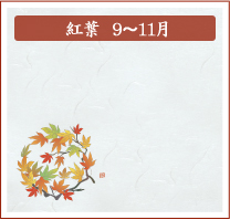 紅葉　9月～11月