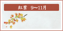 紅葉　9月～11月