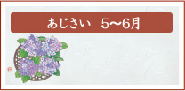 あじさい　5月～6月