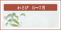 わさび　5月～7月