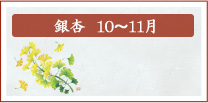 銀杏　10月～11月