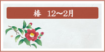 椿　12月～2月